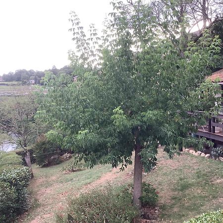 L'Isle-Jourdain  The Petite Chalet Chambre D'Hotes מראה חיצוני תמונה