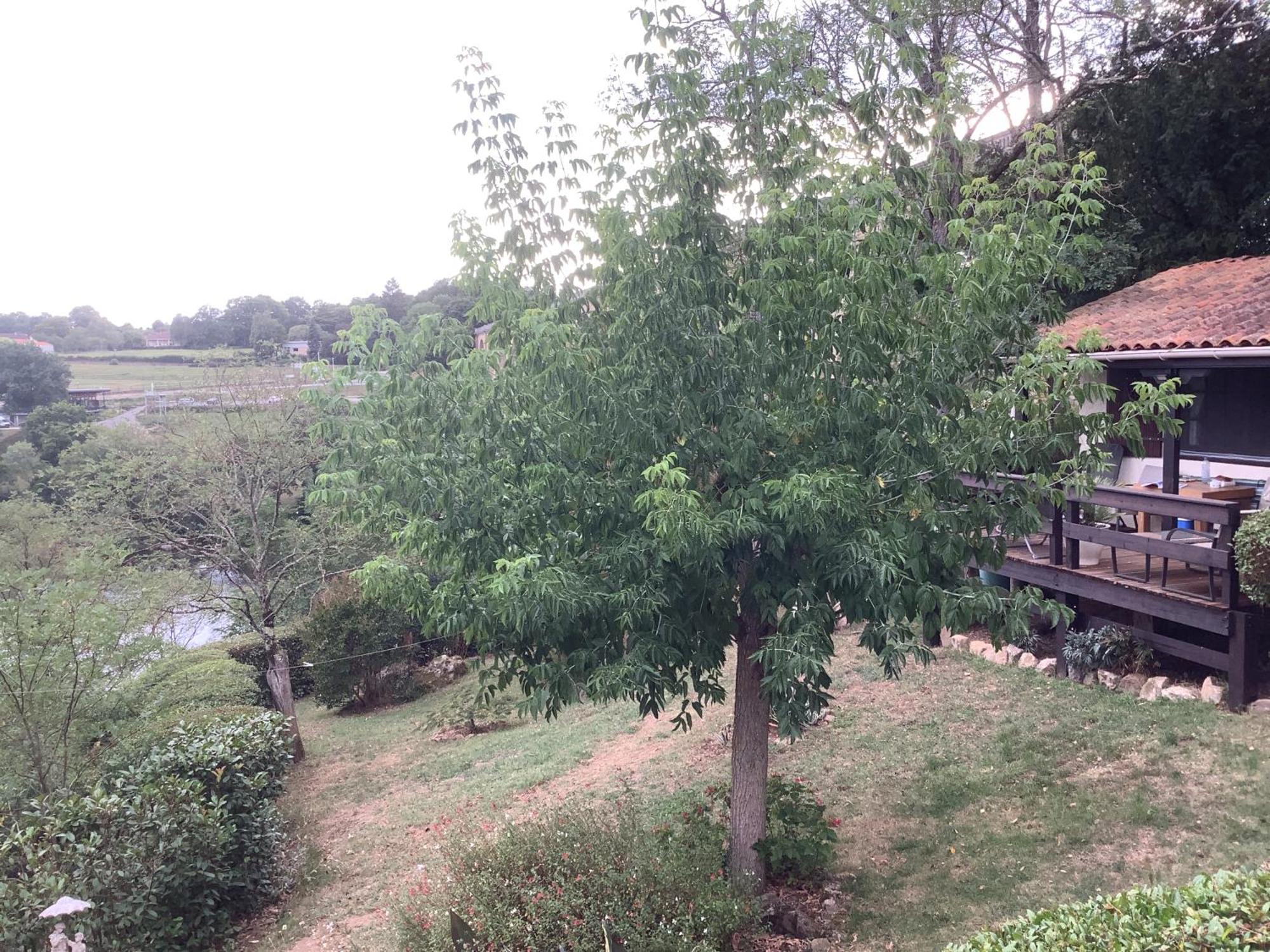 L'Isle-Jourdain  The Petite Chalet Chambre D'Hotes מראה חיצוני תמונה